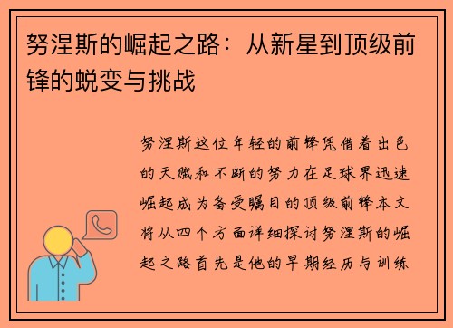 努涅斯的崛起之路：从新星到顶级前锋的蜕变与挑战